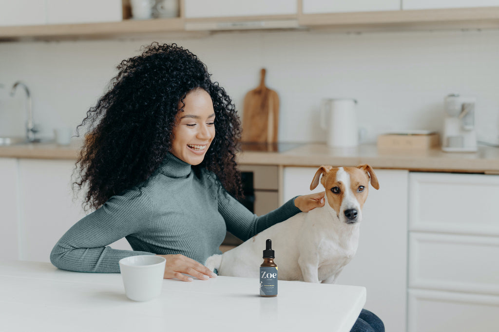 Hemp Oil for Dogs